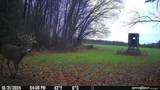  Killdeer Lane - Photo 31