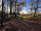  Killdeer Lane - Photo 35