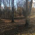 N11169 Rademaker Road - Photo 5