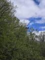  Park Drive - Photo 14