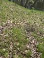  Park Drive - Photo 16