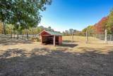 10014 Tank Lane - Photo 83