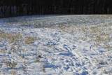  Old Military Road - Photo 17