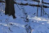  Old Military Road - Photo 20