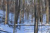  Old Military Road - Photo 21