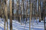  Old Military Road - Photo 24