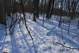  Old Military Road - Photo 25