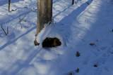  Old Military Road - Photo 26