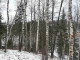 15744 Double B Lane - Photo 44