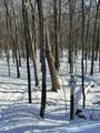 E2315 Woodridge Drive - Photo 49