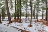E1234 Pine Tree Point - Photo 42
