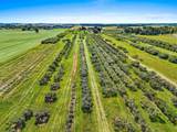 253 County Hwy Ce - Photo 43