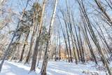 3398 Wilderness Trail - Photo 36