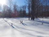 479 Deer Lane - Photo 39