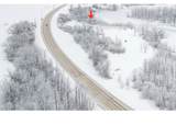  Lost Dauphin Road - Photo 1