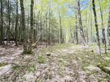  Duluth Avenue - Photo 11