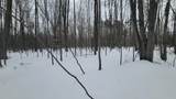 N2534 West Road - Photo 12