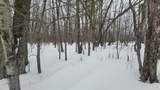 N2534 West Road - Photo 13