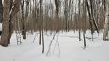 N2534 West Road - Photo 14
