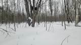 N2534 West Road - Photo 39