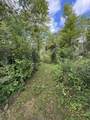 E1501 Penny Lane - Photo 46
