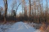 N3353 Comet Road - Photo 30