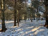 N3353 Comet Road - Photo 36