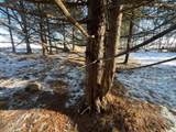 N3353 Comet Road - Photo 37