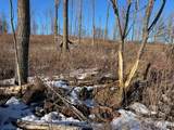 N3353 Comet Road - Photo 42