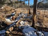 N3353 Comet Road - Photo 45