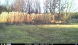 N3353 Comet Road - Photo 56