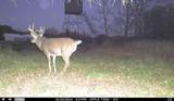 N3353 Comet Road - Photo 57
