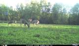 N3353 Comet Road - Photo 58