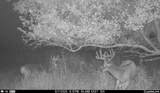 N3353 Comet Road - Photo 59