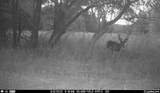 N3353 Comet Road - Photo 62