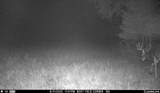 N3353 Comet Road - Photo 63