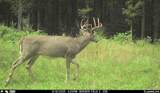 N3353 Comet Road - Photo 64
