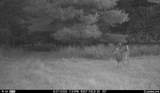 N3353 Comet Road - Photo 65