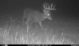 N3353 Comet Road - Photo 67