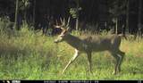 N3353 Comet Road - Photo 68