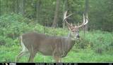 N3353 Comet Road - Photo 69