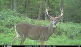 N3353 Comet Road - Photo 70