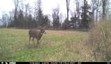 N3353 Comet Road - Photo 71