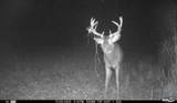 N3353 Comet Road - Photo 72