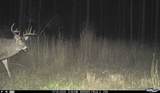 N3353 Comet Road - Photo 73