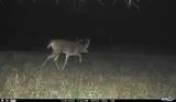 N3353 Comet Road - Photo 76