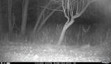 N3353 Comet Road - Photo 77