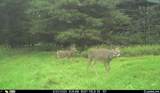 N3353 Comet Road - Photo 79