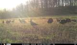 N3353 Comet Road - Photo 80