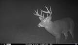 N3353 Comet Road - Photo 88